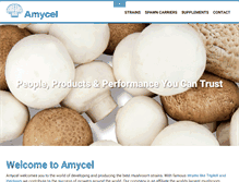 Tablet Screenshot of amycel.nl